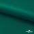 Ткань подкладочная Таффета, 19-5420, 53 г/м2, антистатик, шир. 150 см, вечнозеленый - купить в Москве. Цена 57.16 руб.