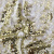 Трикотажное полотно, Сетка с пайетками, шир.130 см, #315, цв.-белый/золото - купить в Москве. Цена 693.39 руб.