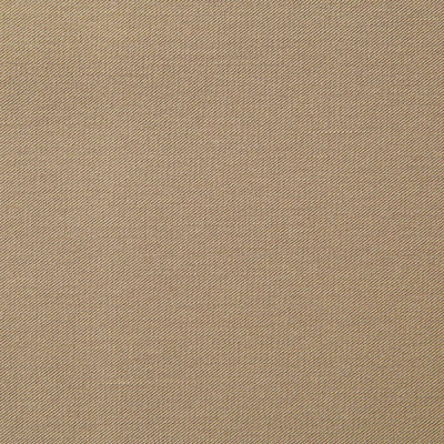 Костюмная ткань с вискозой "Меган" 18-1015, 210 гр/м2, шир.150см, цвет кофе милк - купить в Москве. Цена 380.91 руб.