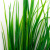 Трава искусственная -2, шт (осока 41см/8 см)				 - купить в Москве. Цена: 104.57 руб.