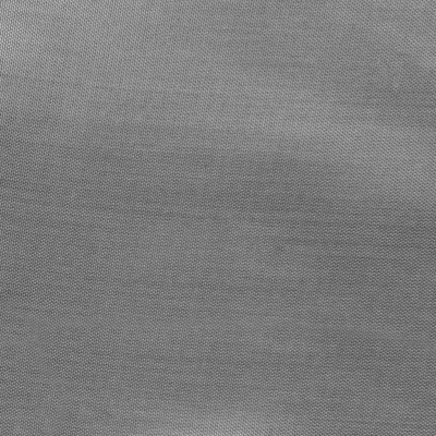 Ткань подкладочная Таффета 17-1501, антист., 54 гр/м2, шир.150см, цвет св.серый - купить в Москве. Цена 60.40 руб.