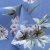 Плательная ткань "Фламенко" 12.1, 80 гр/м2, шир.150 см, принт растительный - купить в Москве. Цена 241.49 руб.