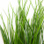 Трава искусственная -4, шт  (осока 50 см/8 см  7 листов)				 - купить в Москве. Цена: 130.73 руб.