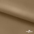 Ткань подкладочная Таффета 17-1327, антист., 54 гр/м2, шир.150см, цвет св.коричневый - купить в Москве. Цена 65.53 руб.