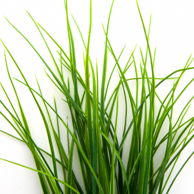 Трава искусственная -3, шт (осока 50 см/8 см  5 листов)				 - купить в Москве. Цена: 124.17 руб.